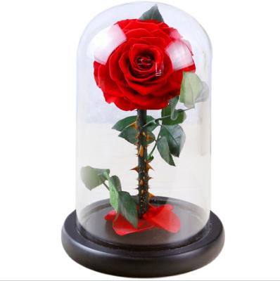 China Preserved Rose In Dome Glass OEM Preserved Rose In Dome Glass Beauty And Beast Rose Multiple Colors Grade Rose Perfect Valentine's Day Gifts for sale