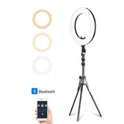 China PORTABLE Ring Light 19