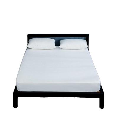 China Non-disposable Cotton Water Proof Mattress Cover Sheet Fitted Sheet for sale