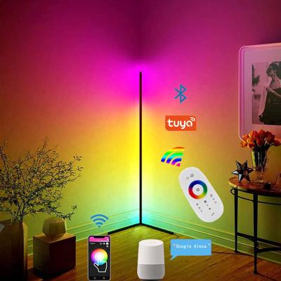 China Modern Residential Bedroom Graphite Simple Clear RGB Floor Color Changing Smallest Corner Minimum Bracket Floor Lamp for sale