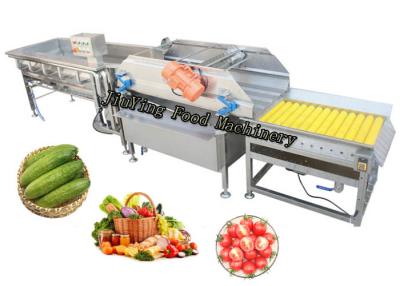 Cina Linea di produzione automatica di pulizia della bolla di aria della frutta dell'insalata su misura in vendita