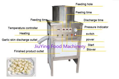 China Peladora eléctrica inoxidable de la piel del ajo del acero 150KG/H en venta