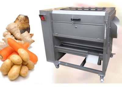 Chine Machine d'épluchage végétale de fruit d'oignon de la pomme de terre 500KG/H à vendre