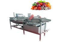 China Customizable Vortex Fruit And Vegetable Cleaner Machine Leaves Cleanning Equipment for sale