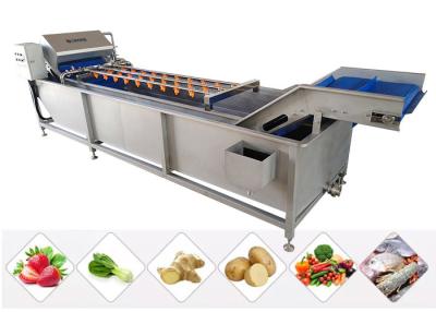 China Línea de transformación vegetal de la espinaca de la lechuga de la ensalada de la lavadora de la fruta 13.8KW en venta