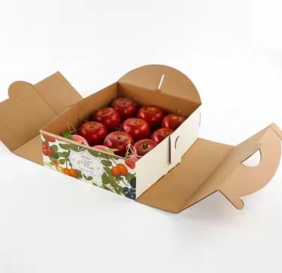 China Recyclable Custom Apple Packaging Tray Cardboard Boxes Vegetables Fruit Package Box for sale