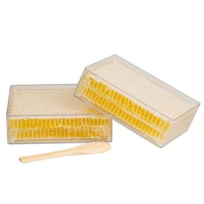 China Discount 250G Honey Comb Box Comb Honey Recyclable Cheap Transparent Comb Honey Cassette With Wax Foundation for sale