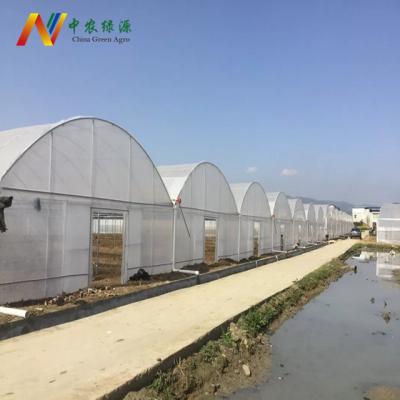 China Low cost agriculture vegetable multi-span greenhouse gewachshaus chinese flowers fruits greenhouse for sale