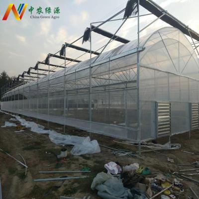 China Vegetable Greenhouse Multi Span Fruit Vegetable Flowers Greenhouse Economical Greenhouse For Vegetables for sale