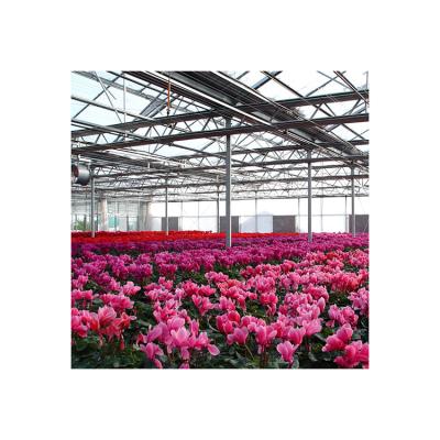 China Venlo Glass Hydroponic Agricultural Commercial Multi-span Durable Glass Greenhouse for sale