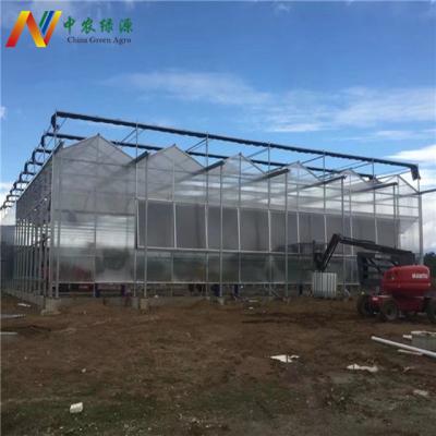 China Stable structure easily assembled commercial winter venlo strawberry greenhouse garden polycarbonate multi-span greenhouses for sale