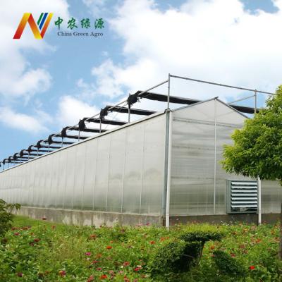 China Stable Structure Easily Assembled Greenhouse Structure / Agricultura Polycarbonate Commercial Greenhouses for sale