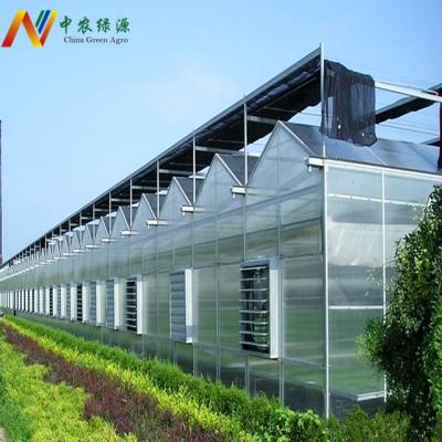 China Stable Structure Easily Assembled 10mm Polycarbonate Sheet Greenhouse Polycarbonate Greenhouse Multi-Span Cheap Agricultural Greenhouses for sale