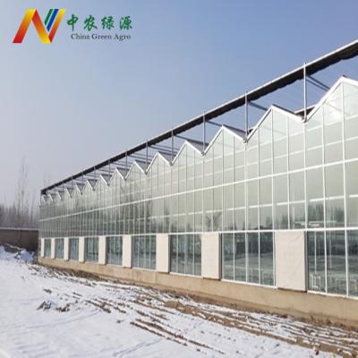 China Stable Structure Easily Assembled Agricultura Greenhouse Structure / Polycarbonate Green Commercial Greenhouses House for sale