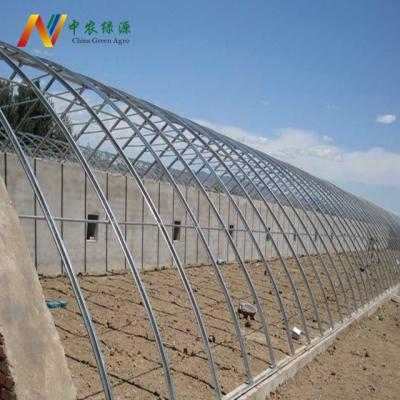 China Winter Stable Sunlight Chinese Style Structure Solar Greenhouse For Sale for sale