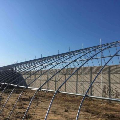 China Large Stable Structure Commercial Garden Solar Greenhouse For Sale for sale