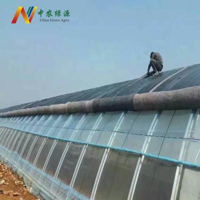 China PE China Solar Greenhouse With Back Wall For Cold Weather For Plant Growing China for sale