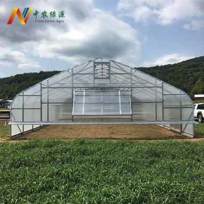 China Easily Assembled Large Single-span Tunnel Nursery Commercial Greenhouse For Sale for sale