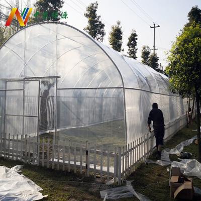 China Easily Assembled Durable Large Used Agriculture Tunnel Greenhouse For Sale for sale