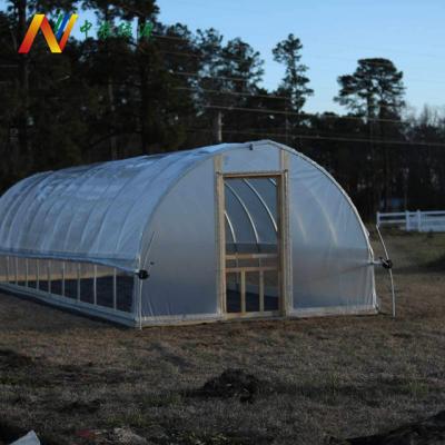 China Easily Assembled Durable Used Agricultural Water Wall Tunnel Greenhouse For Sale for sale