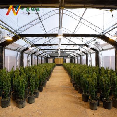 China Easily Assembled And Economical Commercial Automated Agriculture Light Deprivation Greenhouse Medicinal Plants Raising for sale