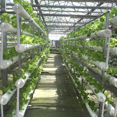 China Farms Vertical DIY Hydroponic Growing System Multi-Layers NFT System Save Water And Eazy Growing for sale