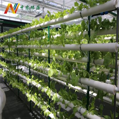 China High Efficiency Hydroponic Supplies Easy Growing Commercial Vertical Display In Hydroponic Greenhouse for sale