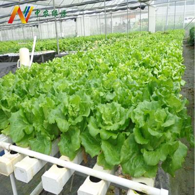 China Automatic Systems NFT Easy Growing Hydroponic Growing System Timer for sale