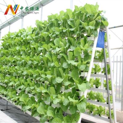 China Growing Farms Greenhouse Hydroponic Tower Systems For Vegetable Plant for sale