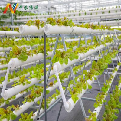 China Growing Farms PVC Pipe NFT Hydroponics Tower System For Greenhouse for sale