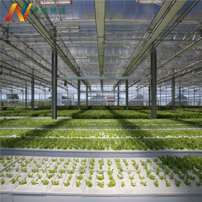 China Greenhouse Hydroponics Growing System DWC Systems Indoor Hydroponic Greenhouse for sale