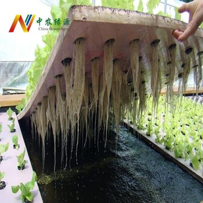 China Greenhouse Hydroponics System Hot Sale Agriculture PVC Hydroponics High Density Soilless Systems for sale