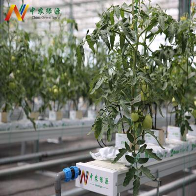 China Commercial Vertical Greenhouse Hydroponics System Rockwool Hydroponic Growing System For Tomatoes for sale