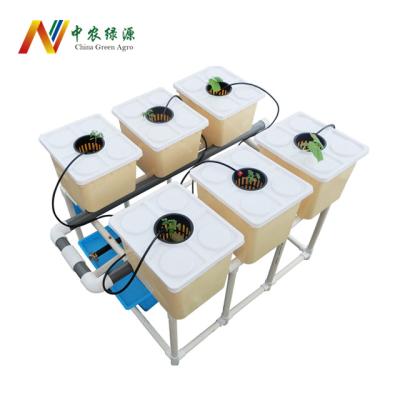 China Agriculture Planting High Quality Hydroponic Dutch Bucket System for sale