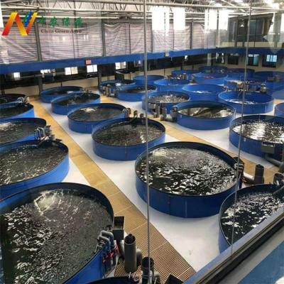 China Hot Dip Galvanized Steel Plate Low Cost Fish Farming Tanks Greenhouse System Aquaponics for sale