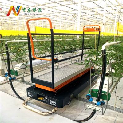 China Farms Trucks Order Picking Trolley 3.1m Electric Aerial Order Picker for sale