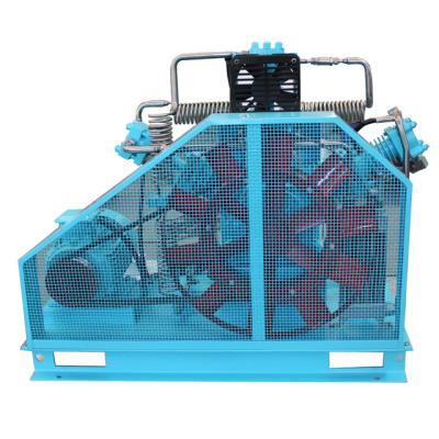 China Hot Selling Oil Free 200/300 Gas Carbon Dioxide Air Oxygen Special Bar Booster High Pressure Compressor for sale