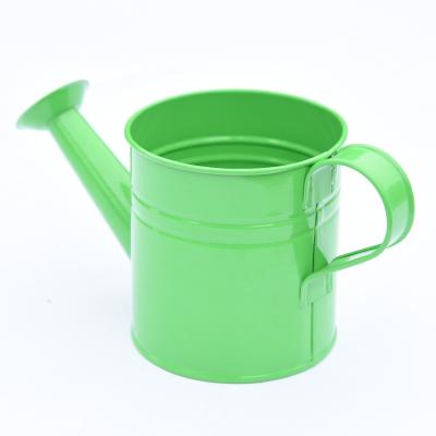 China Graden Indoor Garden Yarde House Plants Flower Metal Small Kids Long Spring Watering Can for sale