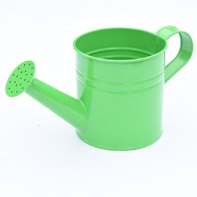 China Hot Sale Green Graden En71 Certification Portable Indoor Watering Can Small Mini Kids Watering Can Carbon Steel for sale