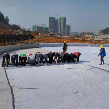 China Building Construction Harga Geotextile Per M2 Geotextile Fabric Suppliers for sale