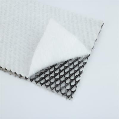 China Industrial Geocomposite Drainage Net for Terrace Garden in Turkey for sale