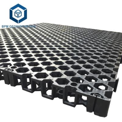 China Black and White Traditional HDPE Drainage Cell Mat Board for Garden Drainage for sale