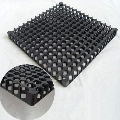 China Traditional plastic 20mm drainage cell for garage roof system in Pakistan for sale