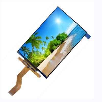 China Cheap Mobile Phone 5.93 Inch TFT IPS LCD Module 5.93