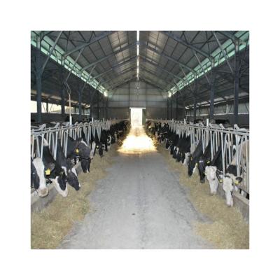 China Clear Span Steel Structure Design Peb Farm Shed Economical Steel Cow Shed Macedonia Q235 for sale