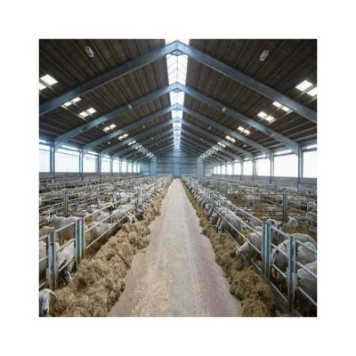 China Open Side Or Narrow Side Steel Structure Design Livestock Shed Goat /Cattle Farms Building for sale