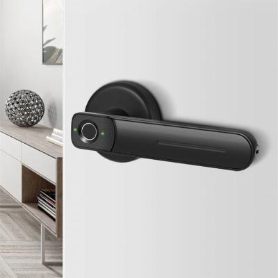 China Smart door lock zinc fingerprint lock sliding door locks smart wifi smart home for sale