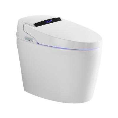 China Automatic Operation Bidet Seat Smart Toilet with Built-in Dual Stream with Remote Control and Massage White Wash with Multi-Function Remote Control for sale