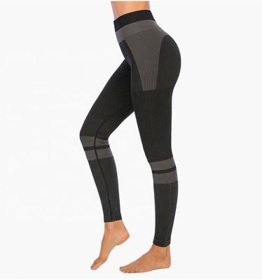 China BATTLEROBE Women'S High Waist Breathable Stretch Cavity Soft Seamless Compression Fitness Yoga Leggings for sale