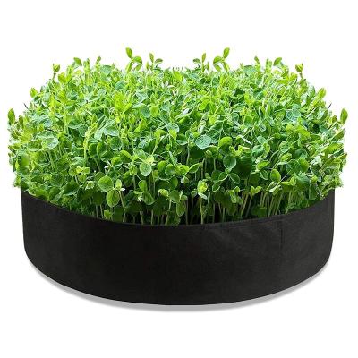 China 100 Gallon Minimalist Durable Felt Plant Grow Garden Planting Beds Bag Raised Pots Garden Bed Wall for sale